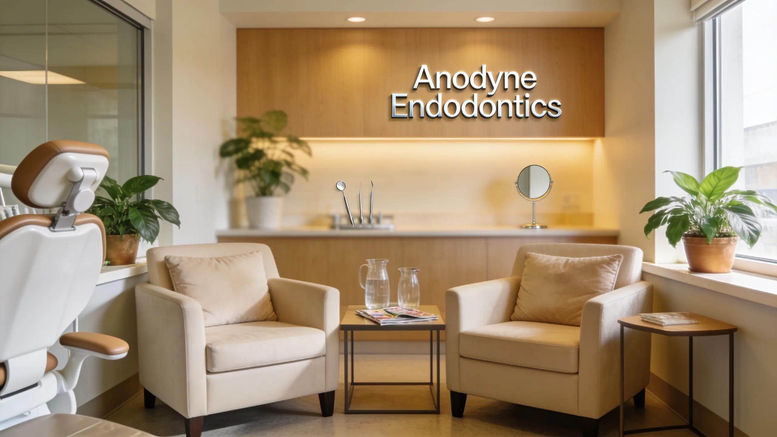 Warm dental office environment highlighting patient comfort and professional care at Anodyne Endodontics